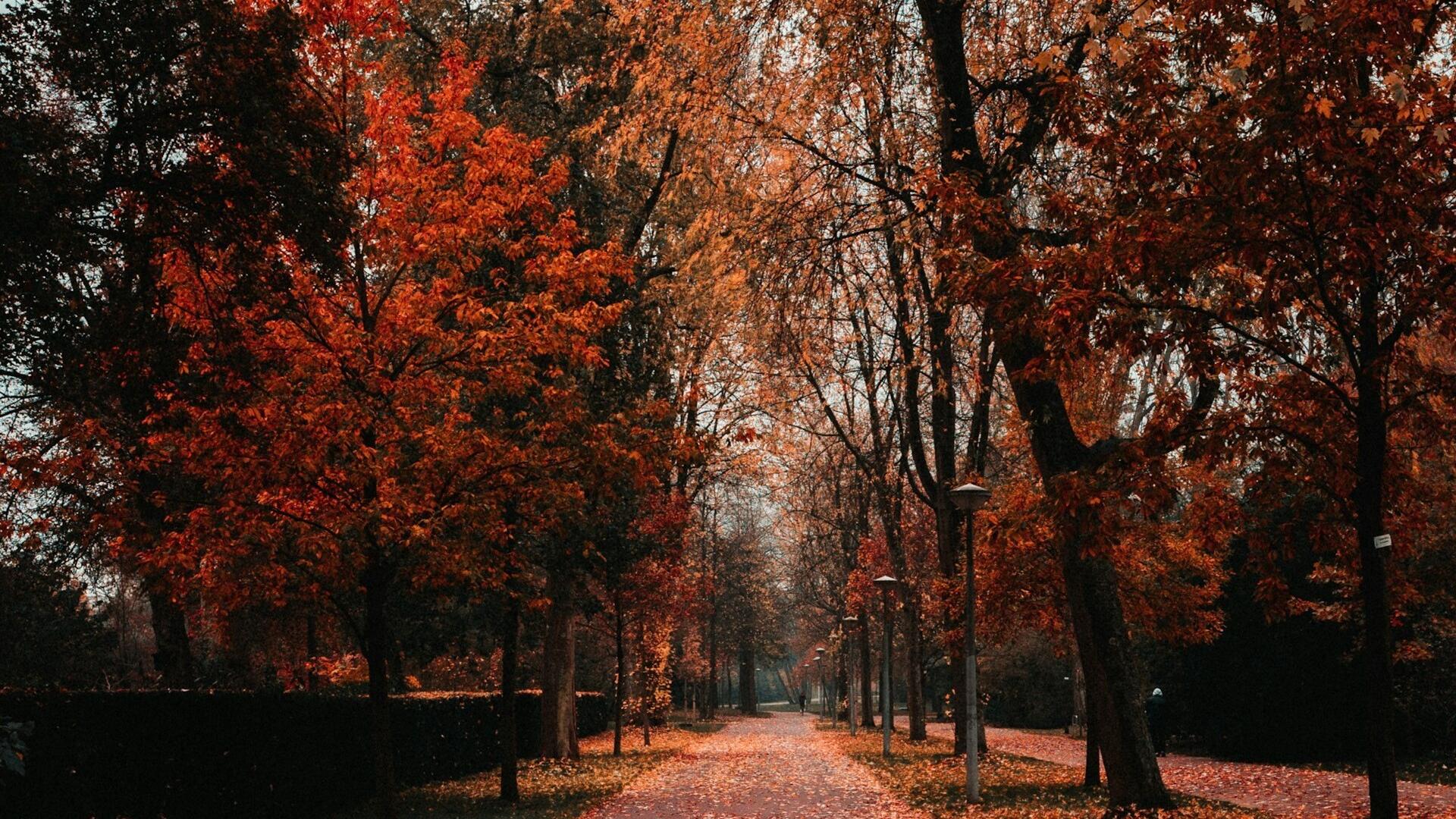 Photo by Luis van den Bos on Unsplash       